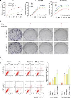 β-Elemene Reverses the Resistance of p53-Deficient Colorectal Cancer Cells to 5-Fluorouracil by Inducing Pro-death Autophagy and Cyclin D3-Dependent Cycle Arrest